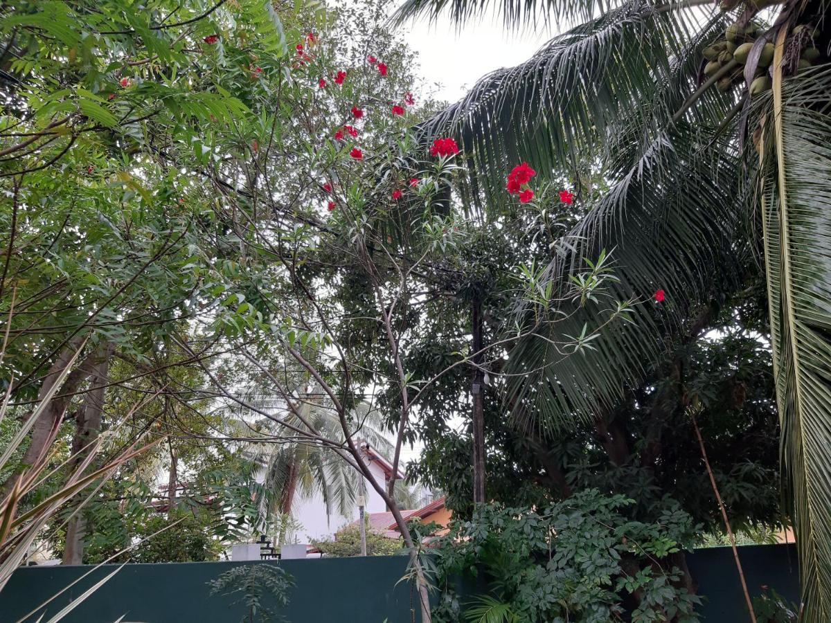 Hellen Homestay Negombo Bagian luar foto