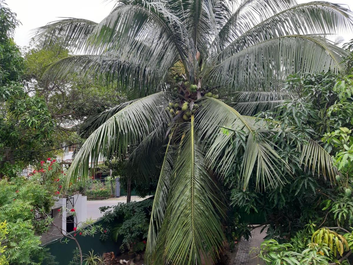 Hellen Homestay Negombo Bagian luar foto